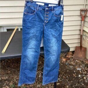 Blokecore gorpcore nostalgia earthy artisanalhigh rise jeans anthropologie sz 29